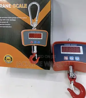 Digital Crane Scale 500kg