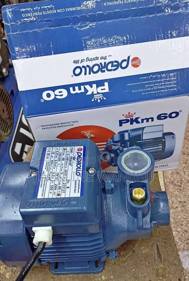 Pedrollo PKM 60 Water Pump (0.5HP) - 1