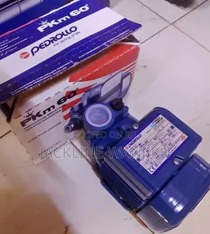 0.5hp Pedrollo PKM 60 Booster Water Pump