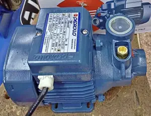 Pampu ya Maji ya Pedrollo 0.5hp (Imetengenezwa Italia)