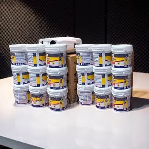 Ruff n Tuff Wall Master Textured Paint - Clearance