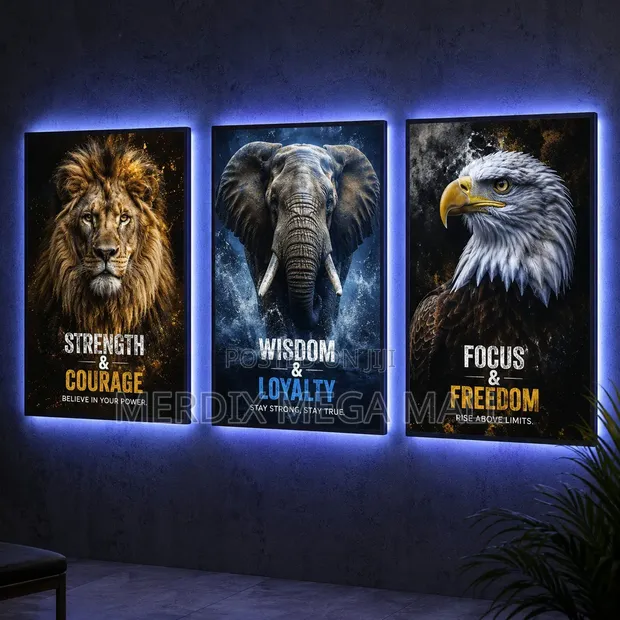 LED Light Frames (60cm x 40cm) - 1