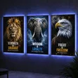 LED Light Frames (60cm x 40cm) - 1
