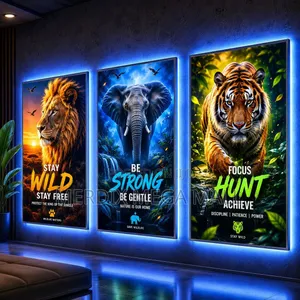 LED Light Frames (50cm x 70cm)