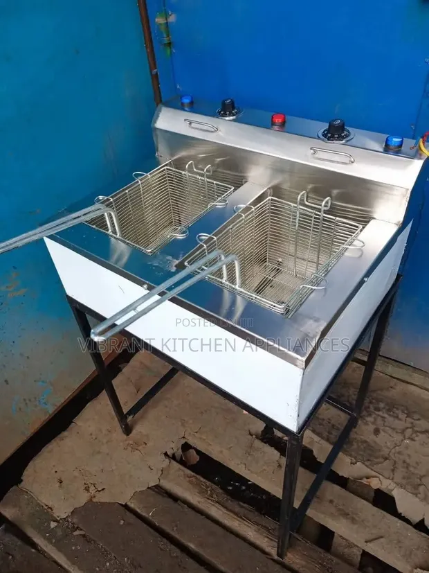 Commercial Double Electric Fryer - Vibrant Kitchen Appliances - 1