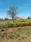 Kantafu Plot for Sale - 2
