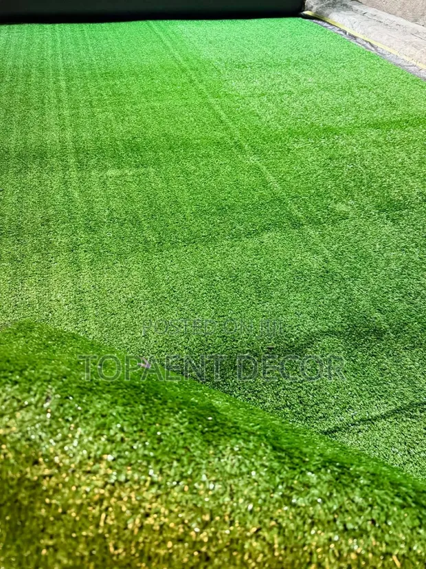 10mm Artificial Outdoor Grass Carpet Rugs - Rahisi Kusafisha - 1