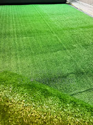 10mm Artificial Outdoor Grass Carpet Rugs - Rahisi Kusafisha
