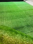 10mm Artificial Outdoor Grass Carpet Rugs - Rahisi Kusafisha - 1