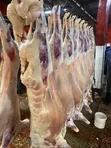 Nyama Safi ya Mbuzi na Kondoo - Kiamaiko - 2
