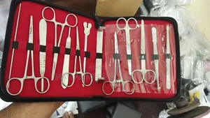 12-Piece Stainless Steel Minor Surgery Instrument Set
