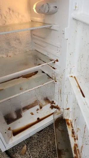 LG Fridge Gas Refilling and Repair Service in Mbagathi