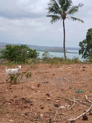 50 Acres for Sale in Kilifi Near Mandarin Beach Resort