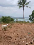 50 Acres for Sale in Kilifi Near Mandarin Beach Resort - 1