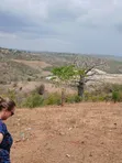 50 Acres for Sale in Kilifi Near Mandarin Beach Resort - 2