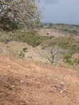 50 Acres for Sale in Kilifi Near Mandarin Beach Resort - 5