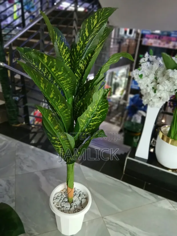Artificial Plant Complete Set - From KSH 3,500 - 1