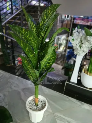 Artificial Plant Complete Set - From KSH 3,500