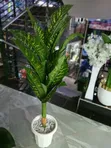 Artificial Plant Complete Set - From KSH 3,500 - 1