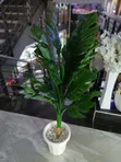 Artificial Plant Complete Set - From KSH 3,500 - 2