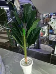 Artificial Plant Complete Set - From KSH 3,500 - 3
