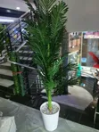 Artificial Plant Complete Set - From KSH 3,500 - 4