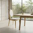 Golden Leather Dining Chairs (Brand New) - 2