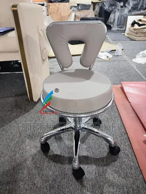 White Silver Adjustable Stool with Backrest