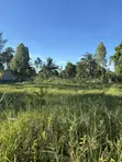 Ardhi kwa Ajili ya Kuuzwa Diani - 1