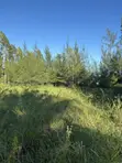 Ardhi kwa Ajili ya Kuuzwa Diani - 2