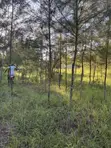 Ardhi kwa Ajili ya Kuuzwa Diani - 4