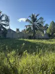 Ardhi kwa Ajili ya Kuuzwa Diani - 5