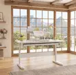 White Manual Height Adjustable Standing Desk - 1