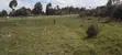 8 Acres Fertile Farmland for Sale near Njabini/Naivasha - 2