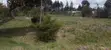 8 Acres Fertile Farmland for Sale near Njabini/Naivasha - 3