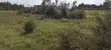 8 Acres Fertile Farmland for Sale near Njabini/Naivasha - 4