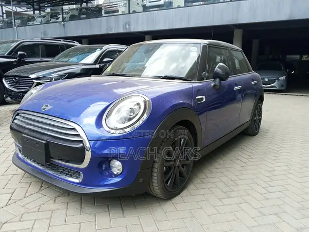 2019 Mini Cooper Blue - 1