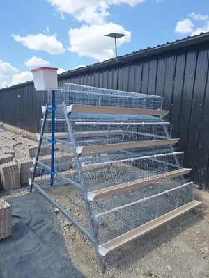 Hot Galvanized A-Type Chicken Cage (128 Birds)