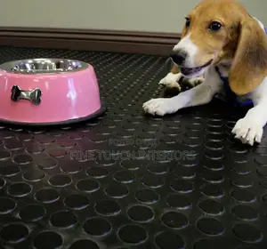 Pet Friendly Coin Carpets - Brand New
