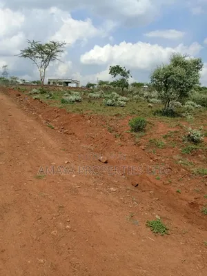1/4 Acre Plots for Sale Near Ngong Tarmac