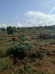 1/4 Acre Plots for Sale Near Ngong Tarmac - 5