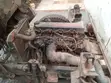 Isuzu NKR Mini Truck - Used - 1