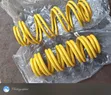 New Heavy Duty Springs for Toyota Probox (New Model) - 1