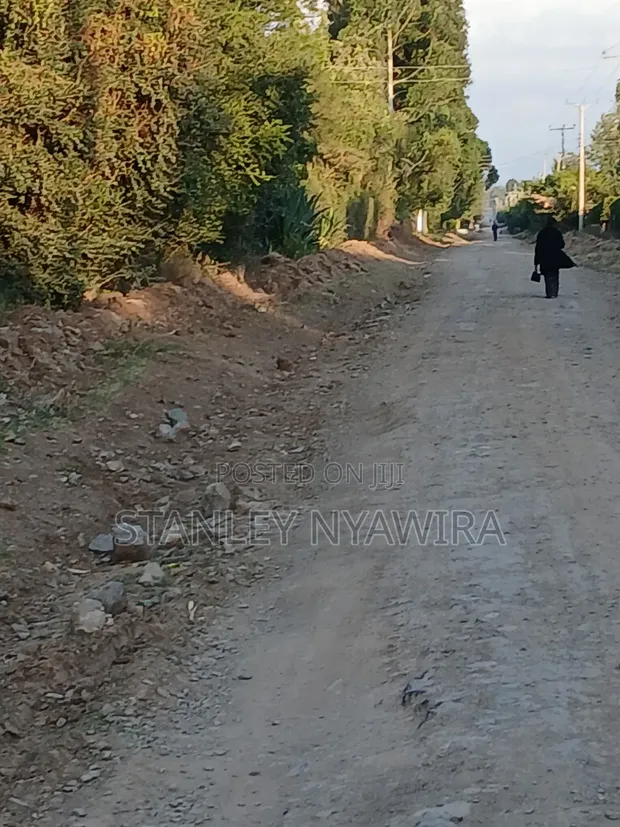 Half Acre Plot for Sale in Nanyuki - 1