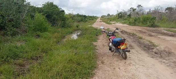 Eneo la Eka 30 kwa Kilimo Linaouzwa Chamari/Adu, Malindi - 1