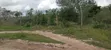 Eneo la Eka 30 kwa Kilimo Linaouzwa Chamari/Adu, Malindi - 3
