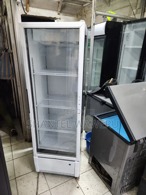 Display Fridge - Lita 400 - 1