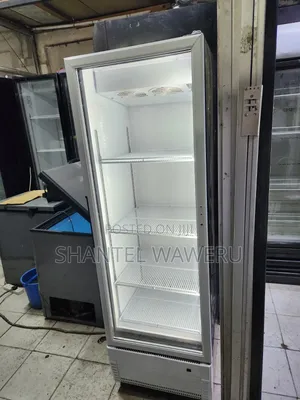 Friji la Kuonyesha la Kipekee la Kioo - 400L