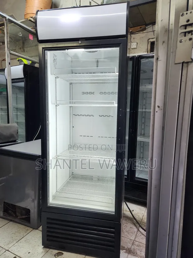 Black One-Door Showcase Refrigerator - 650 Litres - 1