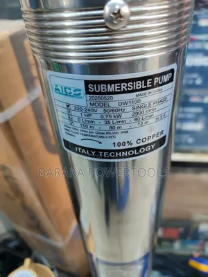 AICO DW1100 Stainless Steel Submersible Water Pump